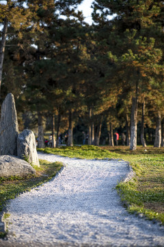 石子路