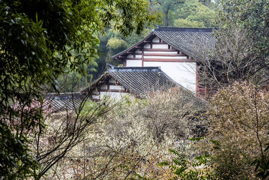 林间小屋