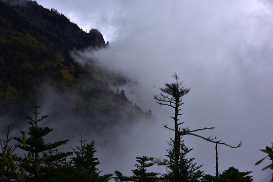 螺髻山风景