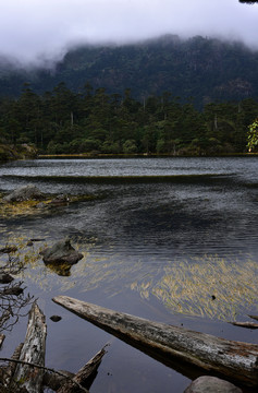 螺髻山森林风光