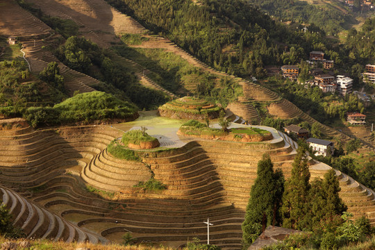 龙脊梯田