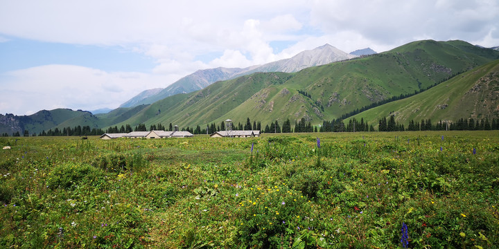 新疆独库公路美景