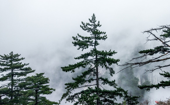 陕西华山