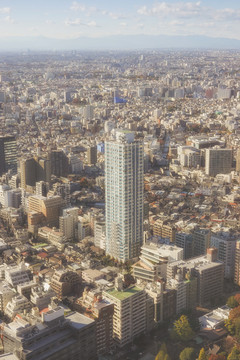 日本东京城市全景