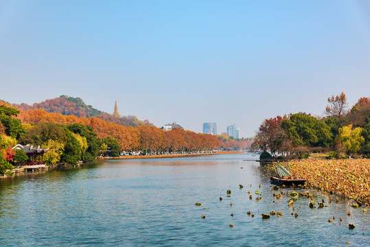 杭州西湖北山街与孤山公园秋景