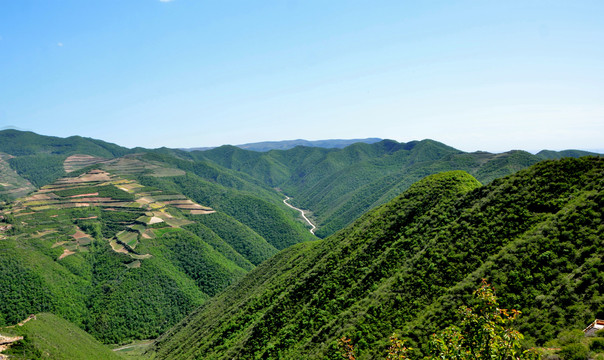 青山滴翠