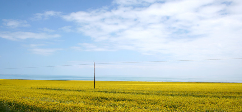 青海湖