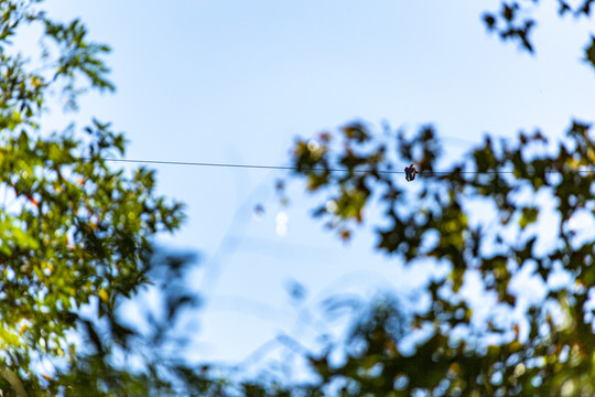 雁荡山空中飞渡