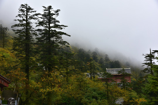 峨眉山云海风光