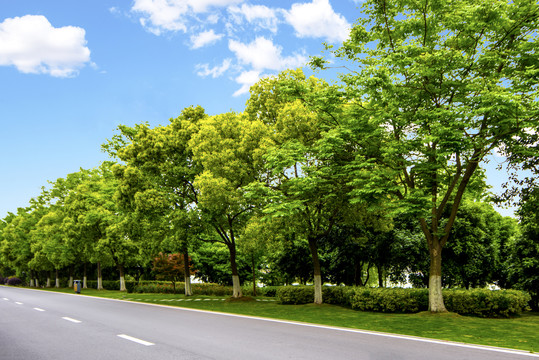 蓝天绿树公路