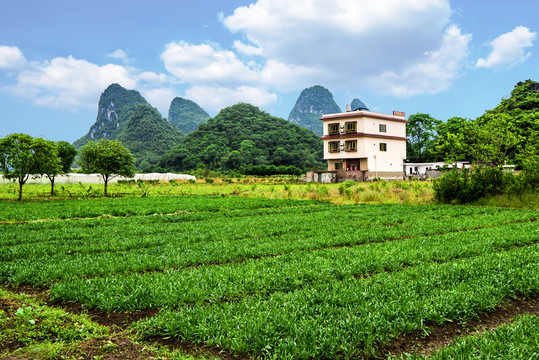 山水田园