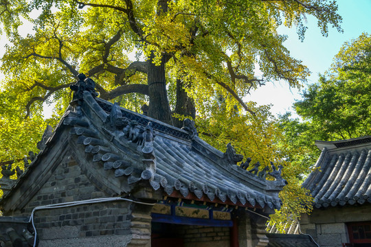 崂山太清宫