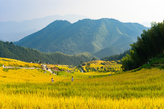 中国十大最美梯清远连山欧家梯田