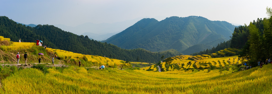 中国十大最美梯清远连山欧家梯田