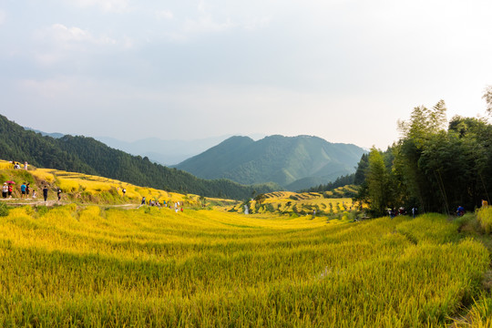中国十大最美梯清远连山欧家梯田