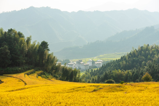 中国十大最美梯清远连山欧家梯田