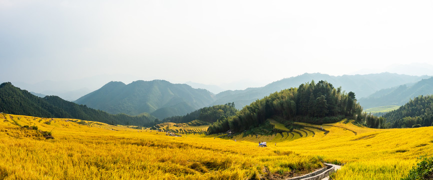 中国十大最美梯清远连山欧家梯田