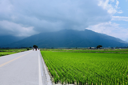 台湾花莲伯朗大道