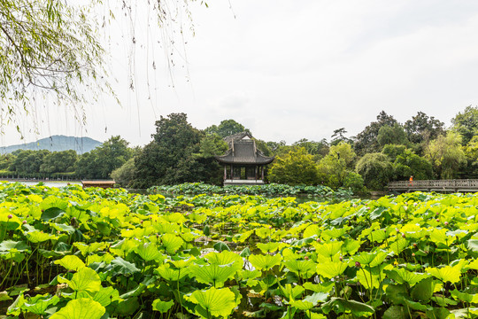 杭州西湖