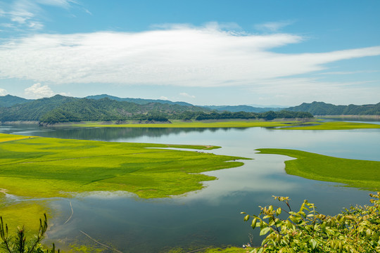 草原湿地