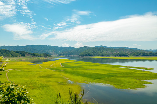 草原湿地