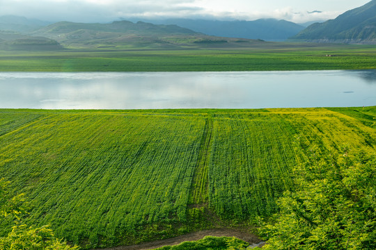 草原湿地