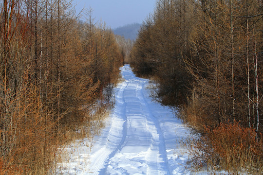 林海雪原崎岖山路