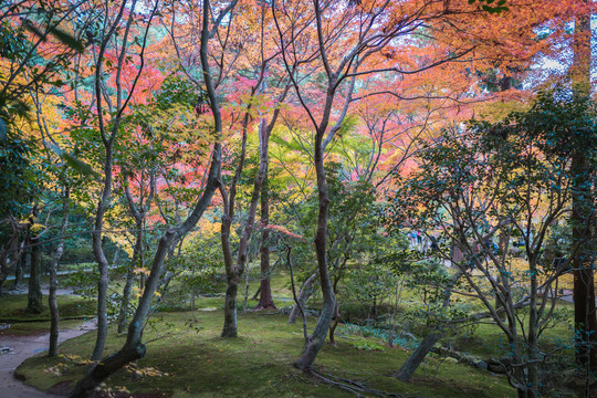 日本京都银阁寺园林枫叶美景