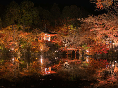 日本京都醍醐寺秋季夜晚枫叶美景