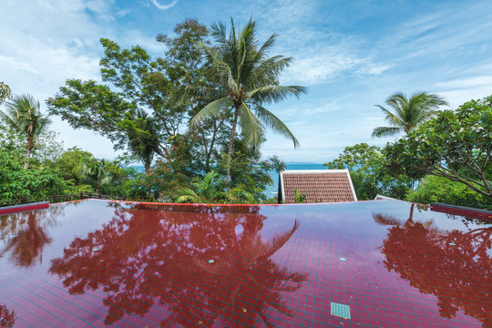 热带海岛度假村红色泳池
