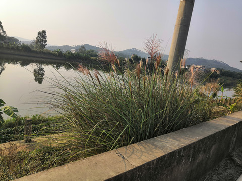 广西钦州市小董镇图片