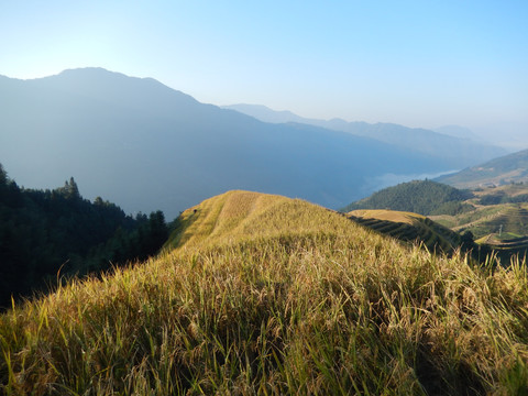 龙脊小景