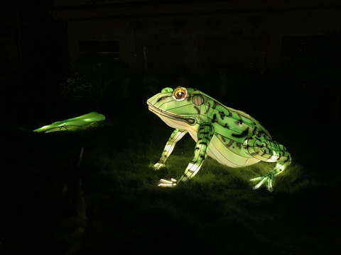 LED青蛙造型节日灯会花灯