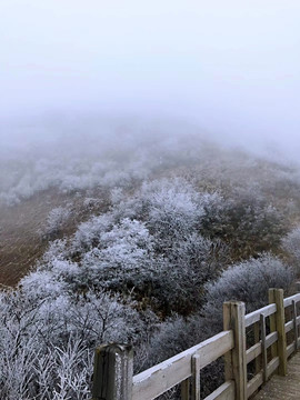 雪景