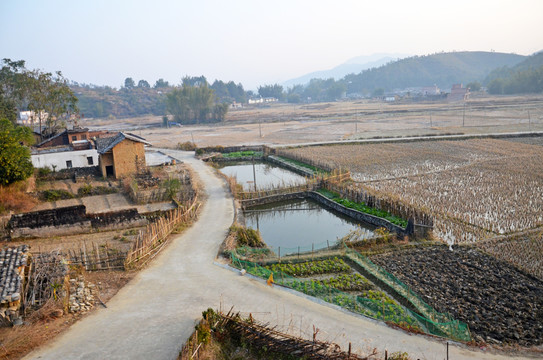 水泥路