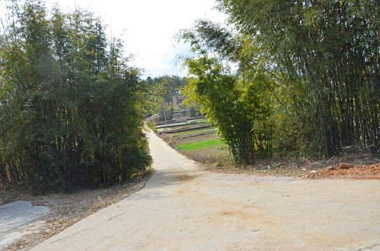 乡村道路