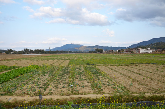 山间平原