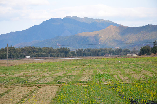 山区耕地