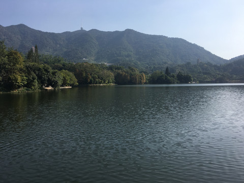 深圳仙湖植物园湖边风景