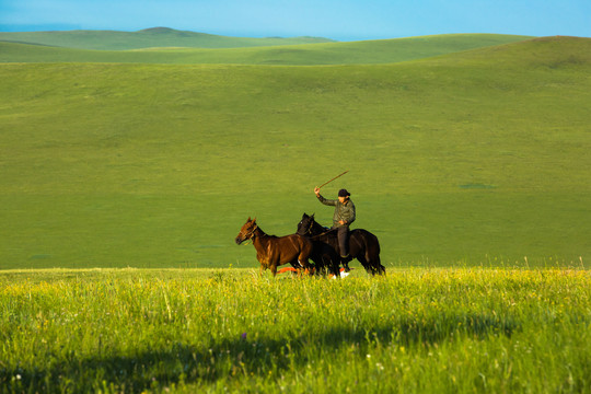 夏季草原骑马的蒙古族