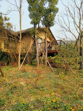 别墅度假村山村