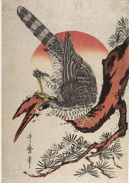 喜多川歌麿松枝上的猎鹰