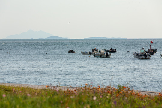 海边风景画