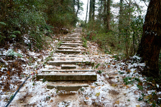 登山小路阶梯