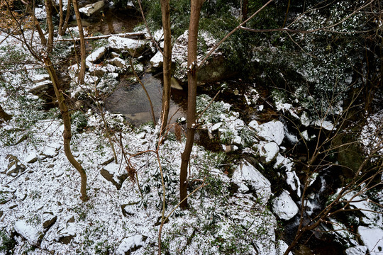 草地积雪