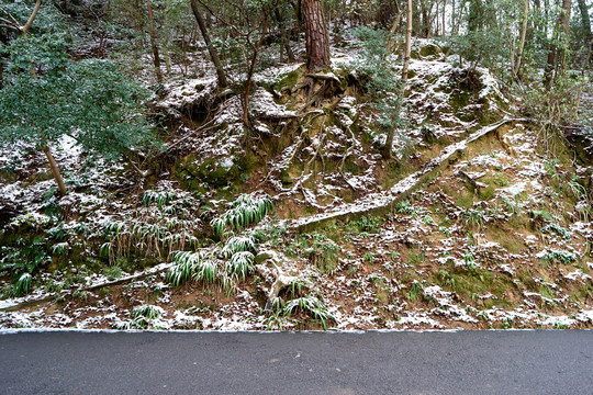 衡山雪景