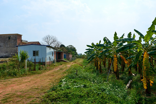 农村小屋