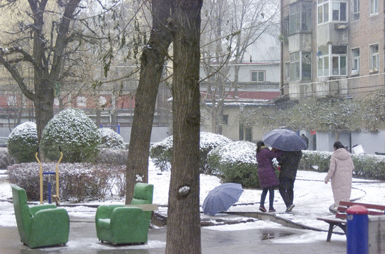 雪中的健身器材