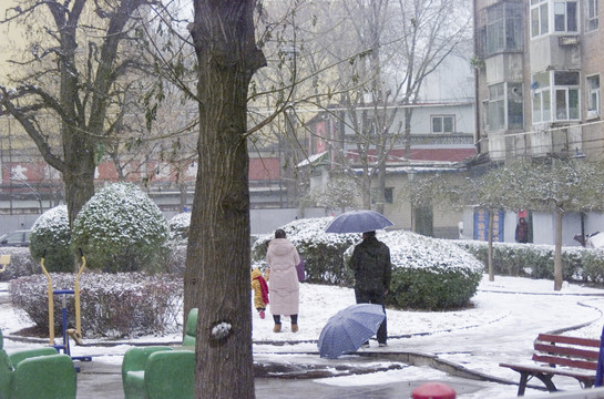 雪中的健身器材