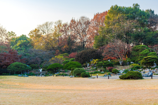 杭州西湖花港观鱼园林景观秋景